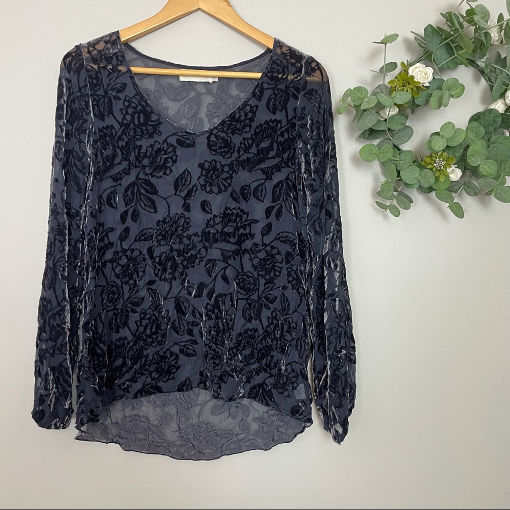 Johnny Was Black Velvet Floral Sheer Blouse